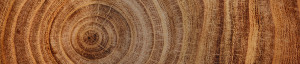 bc wood products careers
